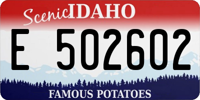 ID license plate E502602