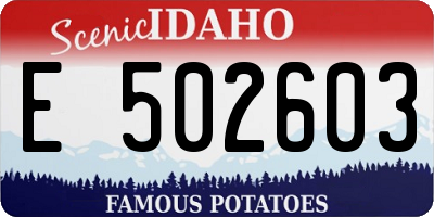 ID license plate E502603