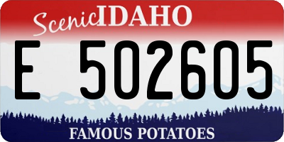ID license plate E502605