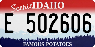 ID license plate E502606
