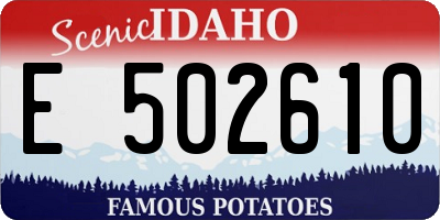 ID license plate E502610