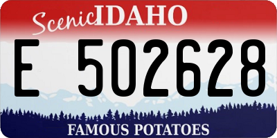 ID license plate E502628