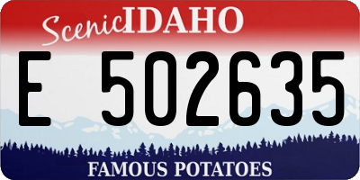 ID license plate E502635