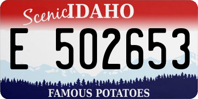 ID license plate E502653