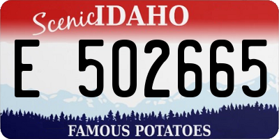 ID license plate E502665