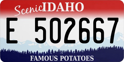 ID license plate E502667