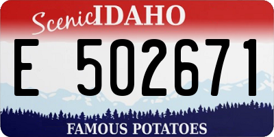 ID license plate E502671