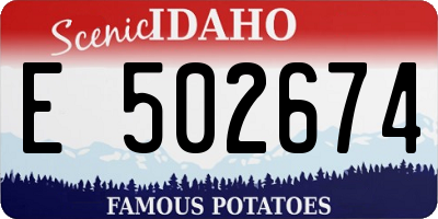 ID license plate E502674