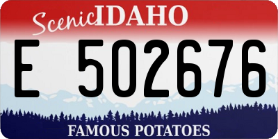 ID license plate E502676