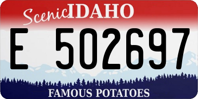ID license plate E502697