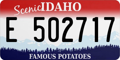 ID license plate E502717