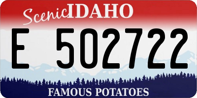 ID license plate E502722