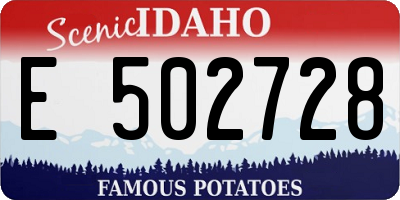 ID license plate E502728
