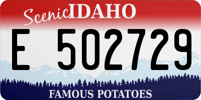 ID license plate E502729