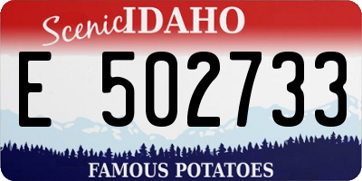ID license plate E502733