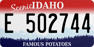 ID license plate E502744