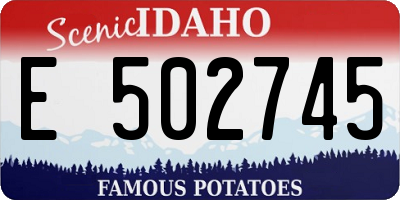 ID license plate E502745