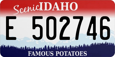 ID license plate E502746