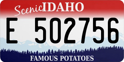 ID license plate E502756