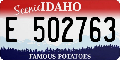 ID license plate E502763