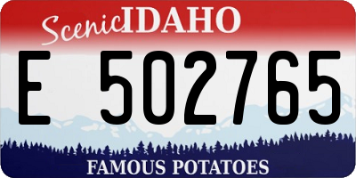 ID license plate E502765