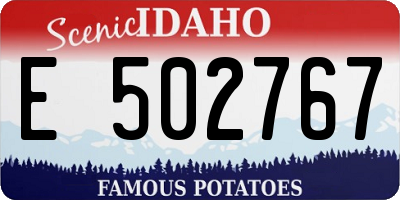 ID license plate E502767
