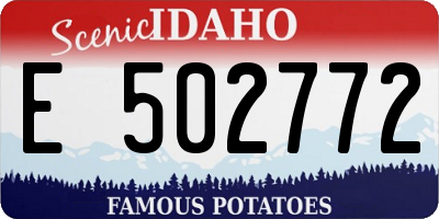 ID license plate E502772