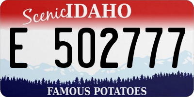 ID license plate E502777