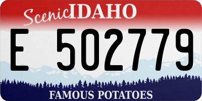 ID license plate E502779