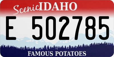 ID license plate E502785