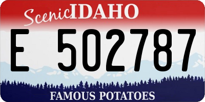 ID license plate E502787