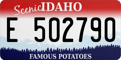 ID license plate E502790