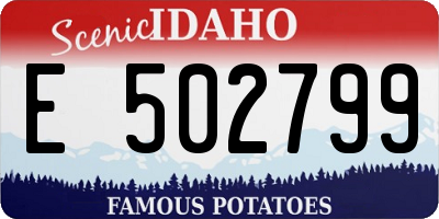ID license plate E502799