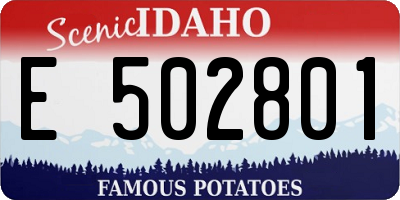 ID license plate E502801