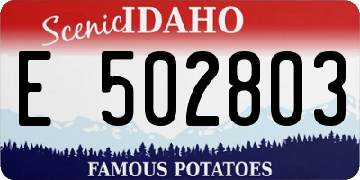 ID license plate E502803