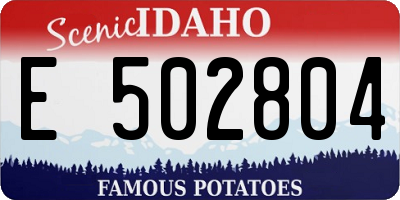 ID license plate E502804