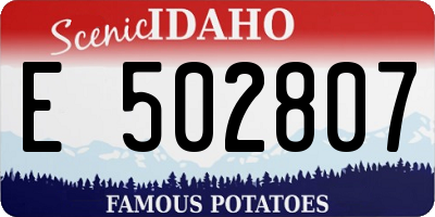 ID license plate E502807