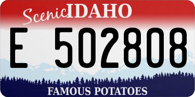 ID license plate E502808