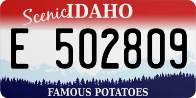 ID license plate E502809