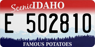 ID license plate E502810