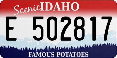 ID license plate E502817