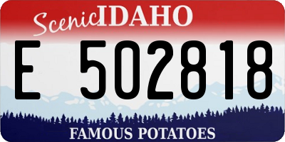 ID license plate E502818