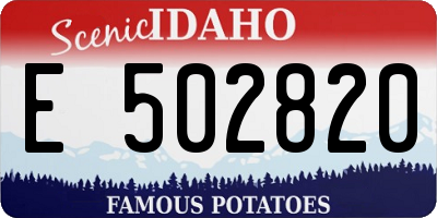 ID license plate E502820