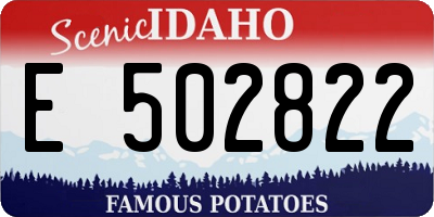 ID license plate E502822