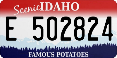 ID license plate E502824