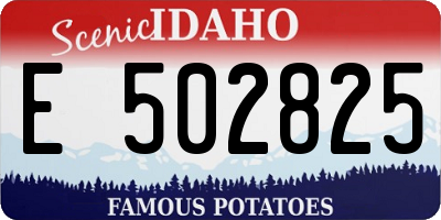 ID license plate E502825