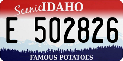 ID license plate E502826