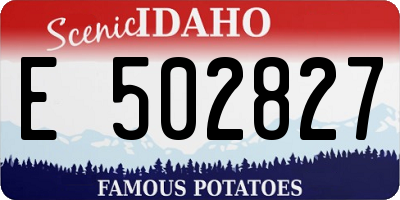 ID license plate E502827