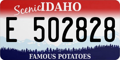 ID license plate E502828