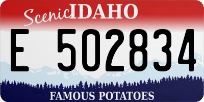 ID license plate E502834